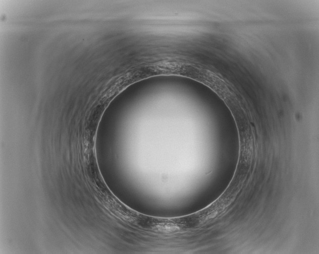 X0000061150749200511211001