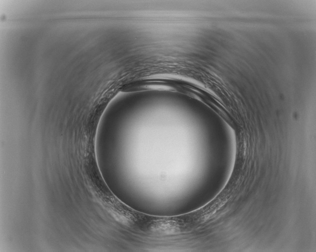 X0000061150750200511211001