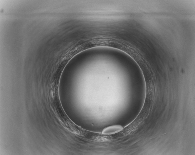 X0000061150751200511211001