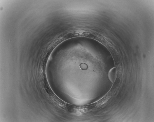 X0000061150754200511211001