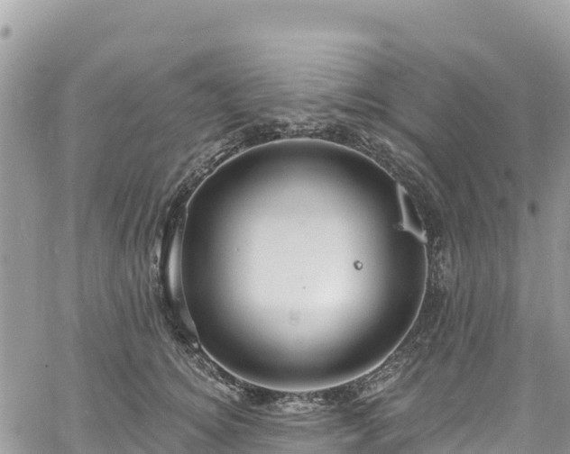 X0000061150756200511211001