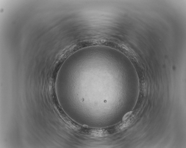 X0000061150757200511211001