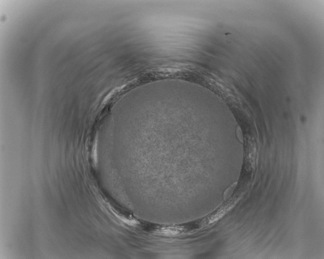 X0000061150758200511211001