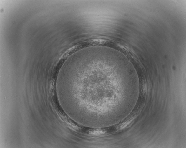 X0000061150759200511211001