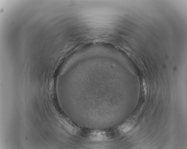 X0000061150760200511211001