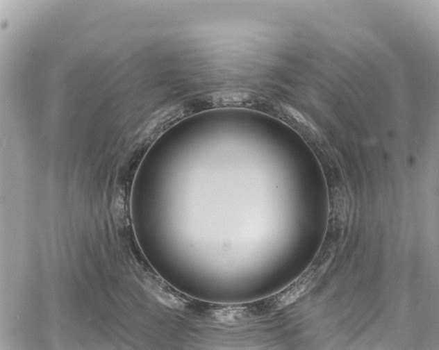 X0000061150761200511211001