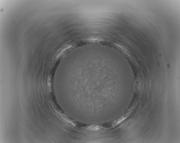 X0000061150762200511211001