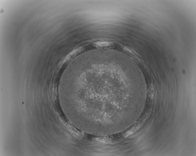 X0000061150763200511211001