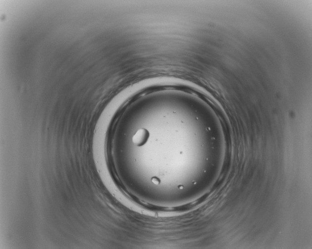 X0000061150766200511211001