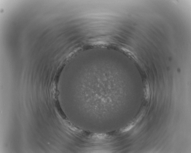 X0000061150767200511211001