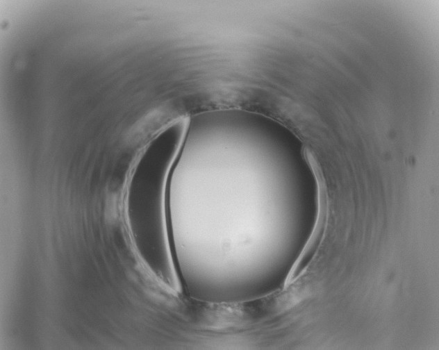 X0000061150768200511211001