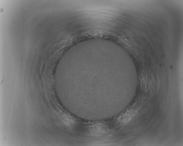 X0000061150769200511211001