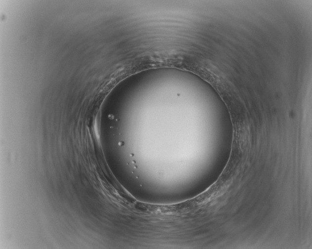 X0000061150770200511211001