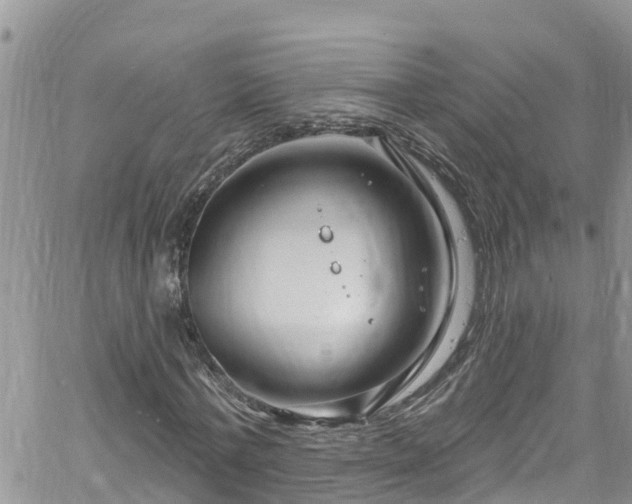 X0000061150771200511211000