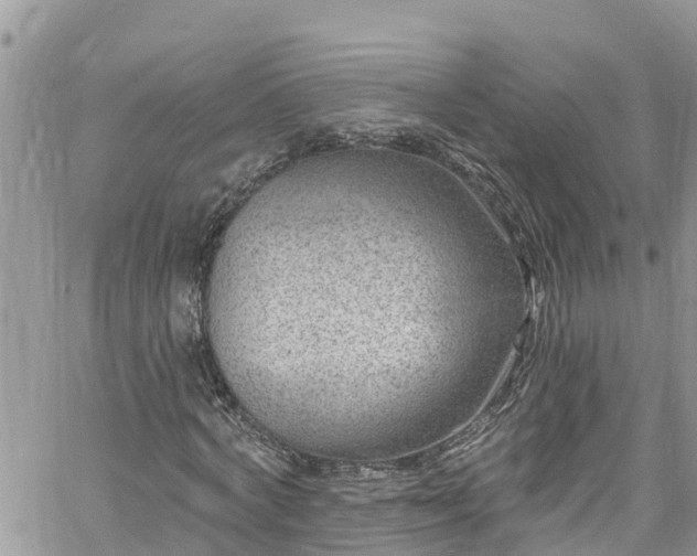 X0000061150772200511211000