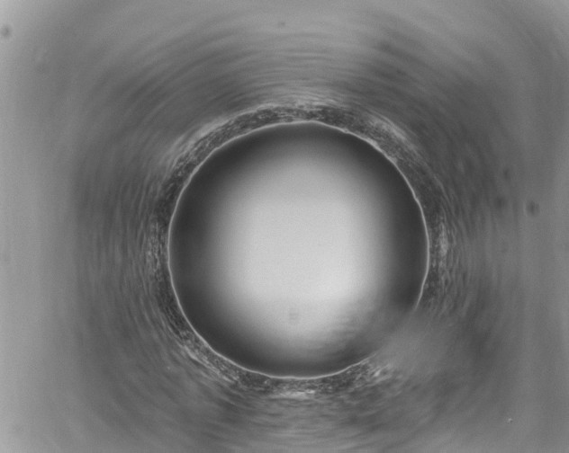 X0000061150773200511211000