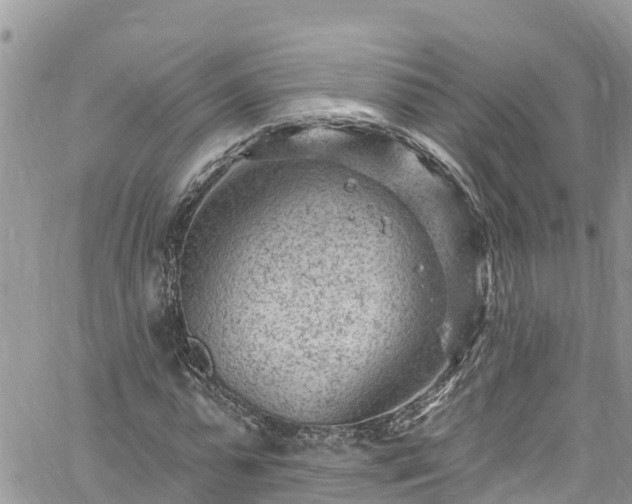 X0000061150775200511211000