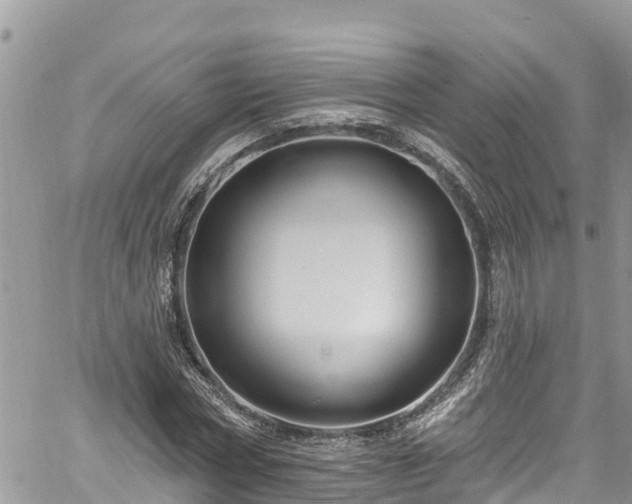 X0000061150778200511211000