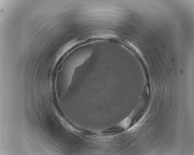 X0000061150779200511211000