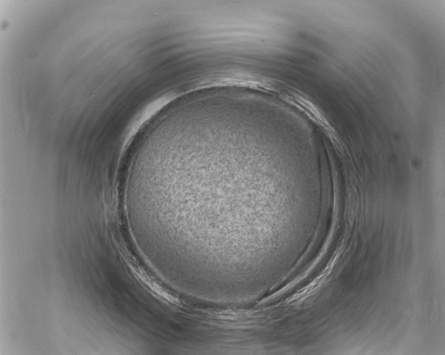 X0000061150780200511211000