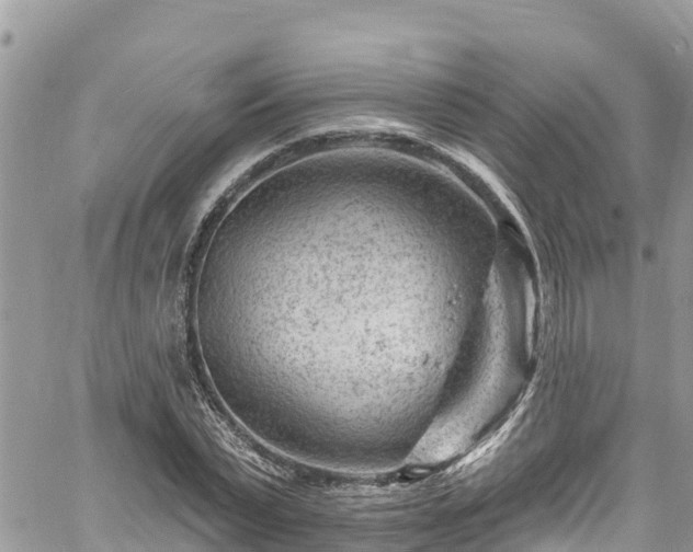 X0000061150783200511211000