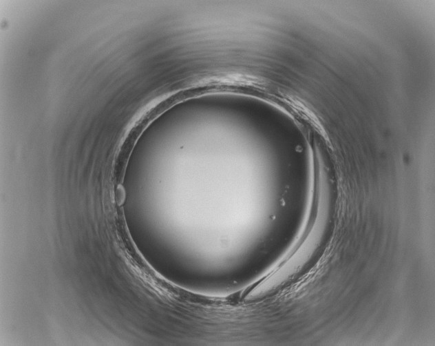 X0000061150784200511211000