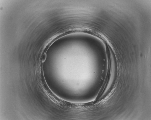 X0000061150787200511211000