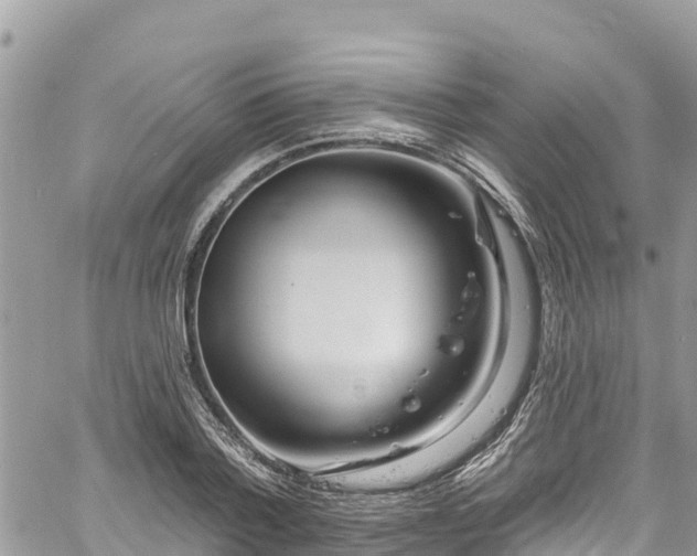 X0000061150788200511211000