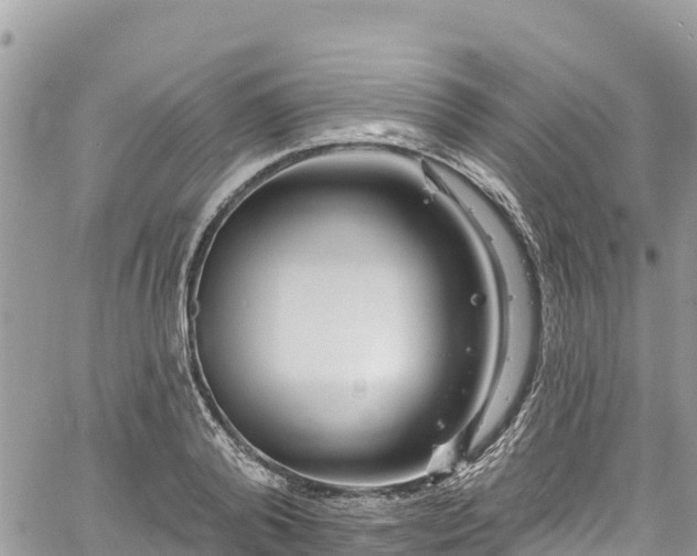 X0000061150792200511211000