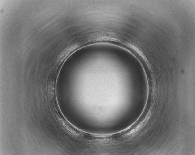 X0000061150793200511211000