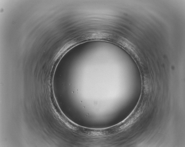 X0000061150794200511211000