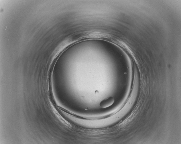 X0000061150795200511211000