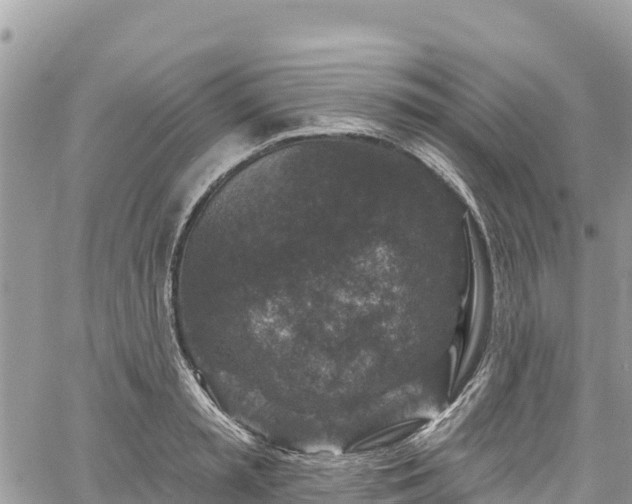 X0000061150797200511211000