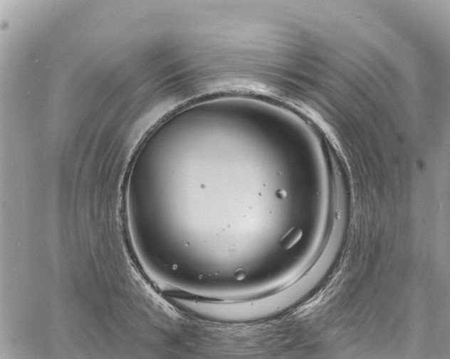 X0000061150799200511211000