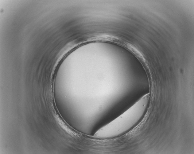 X0000061150800200511211000