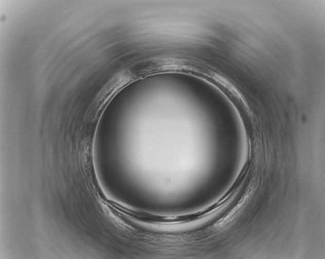 X0000061150801200511211000