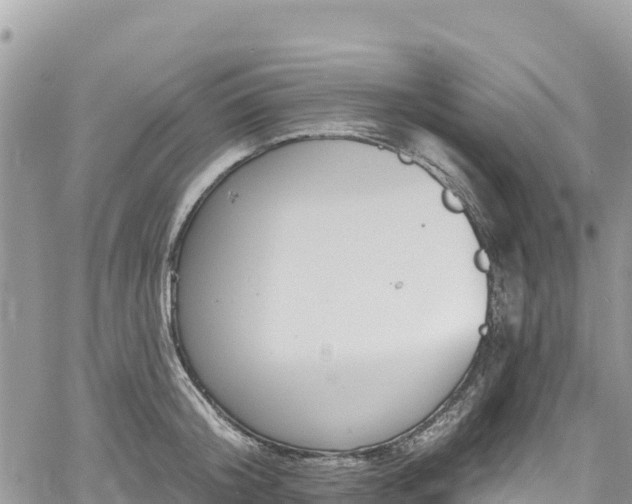 X0000061150804200511211000