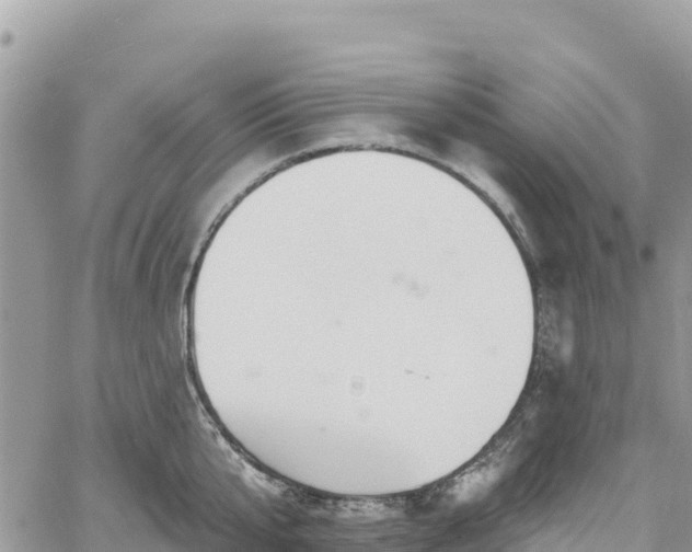 X0000061150807200511211000