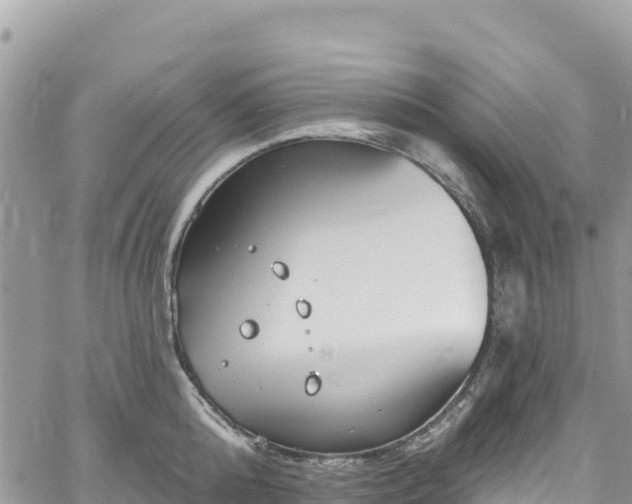 X0000061150808200511211000