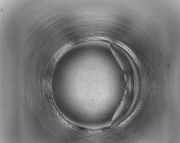 X0000061150809200511211000