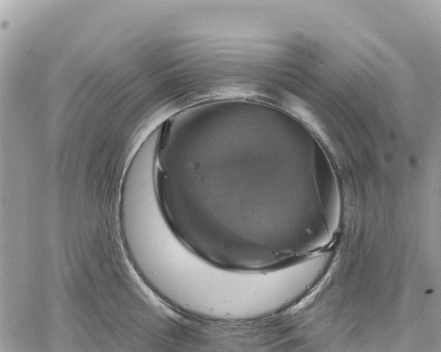 X0000061150810200511211000