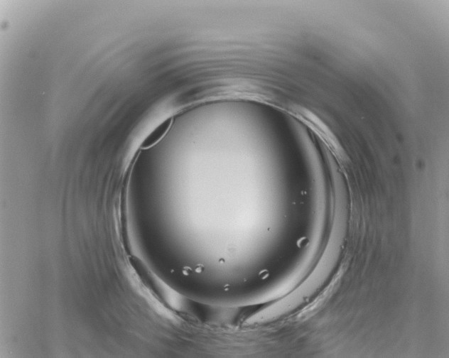 X0000061150812200511211000