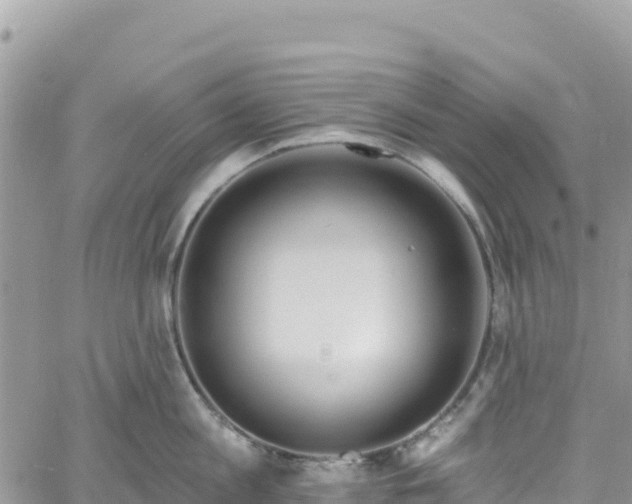 X0000061150813200511211000