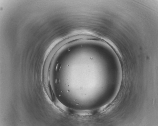 X0000061150815200511211000