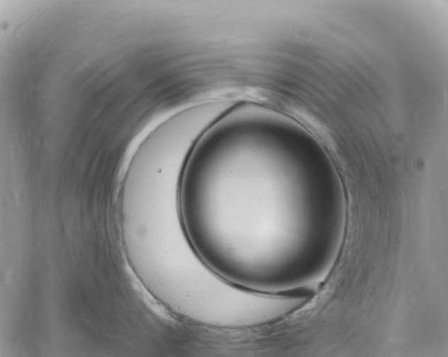 X0000061150816200511211000