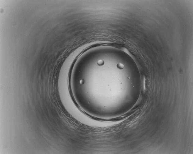 X0000061150818200511210959