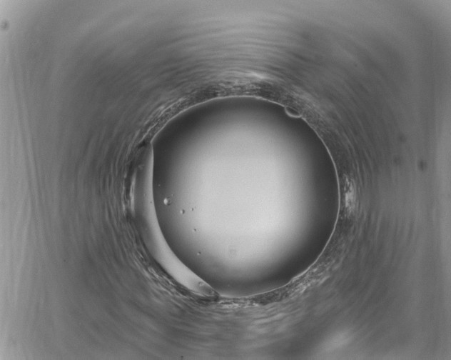 X0000061150819200511210959