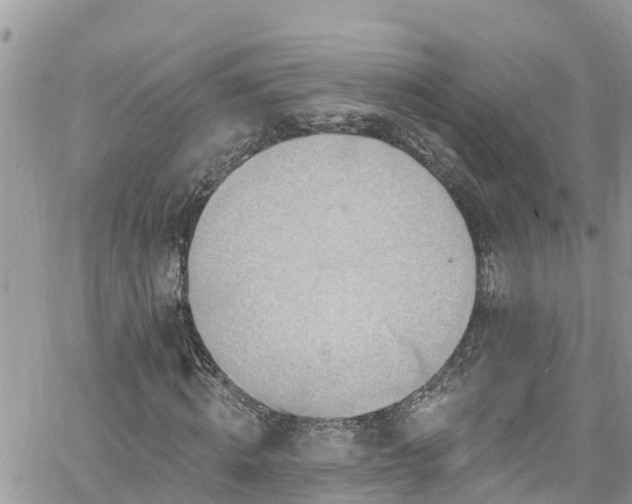 X0000061150820200511210959