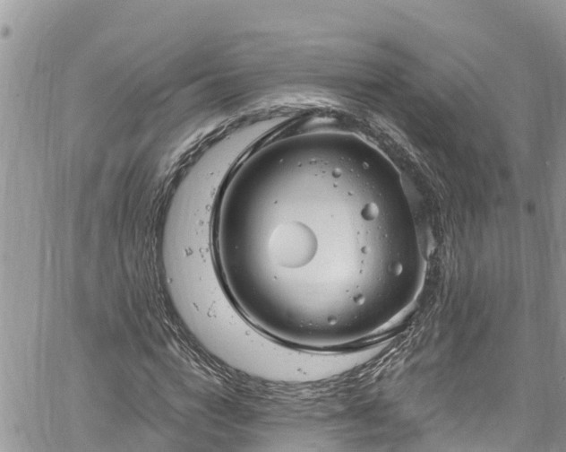 X0000061150824200511210959