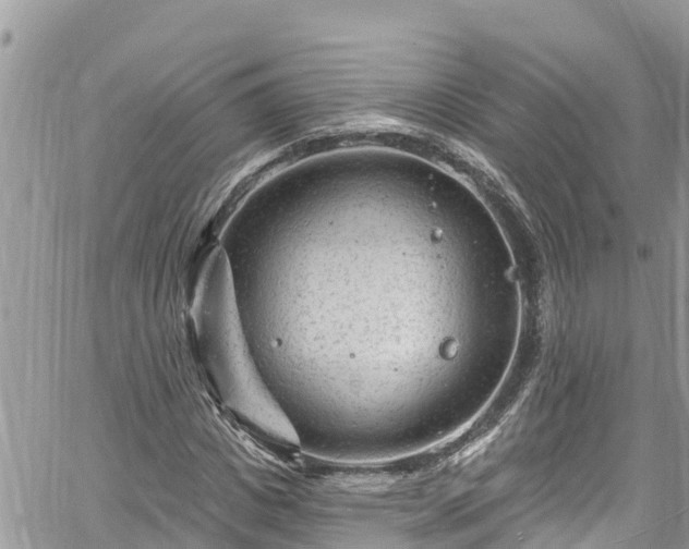 X0000061150825200511210959